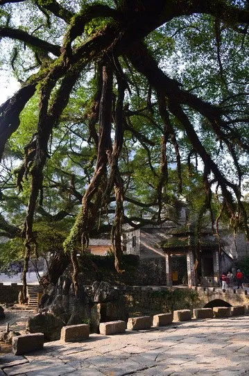 博皓游記 | 夏風(fēng)微醺的綺夢，領(lǐng)略賀州黃姚古鎮(zhèn)、姑婆山閑憩之美-12
