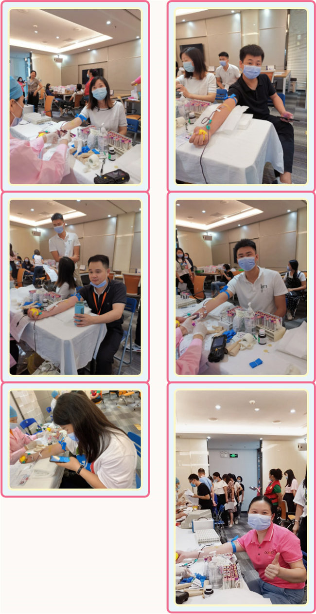捐獻(xiàn)青春熱血，彩繪人生畫卷——廣東博皓總班委組織了一次“捐我熱血，呵護(hù)生命”的無償獻(xiàn)血公益活動(dòng)    -3