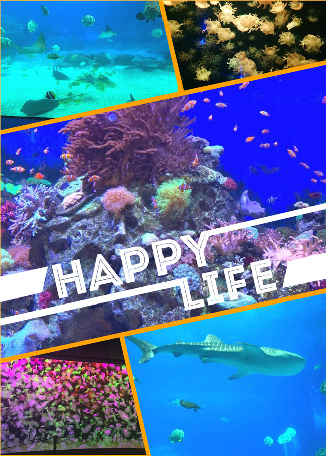 廣東博皓親子游：珠海長隆海洋王國，探索海洋生物的奧秘，奇妙的動物世界
