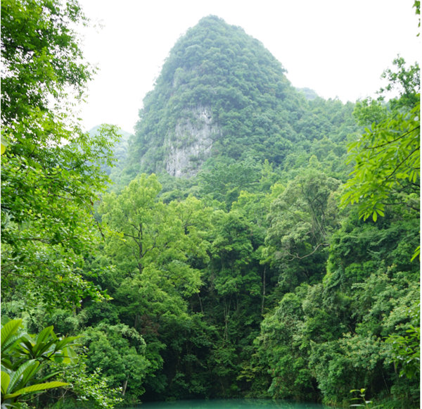 賞華夏大地，游多彩貴州-－2021年廣東博皓快樂行-2