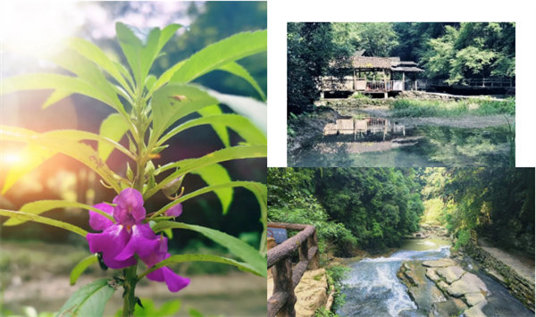 “湘”約鳳凰，相守未來——2022博皓快樂湖南行    -34