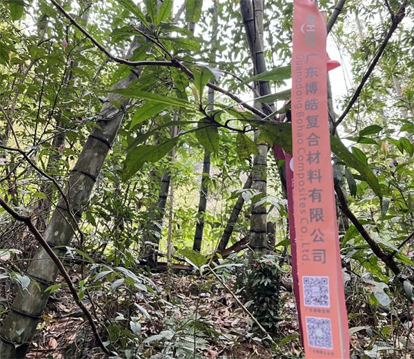 凝心聚力再出發(fā)，風(fēng)雨同舟赴星溪！--廣東博皓2024龍年首登星溪之旅     -2