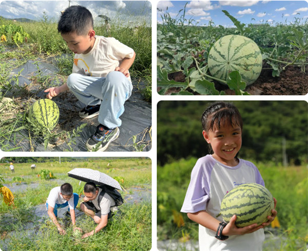 趣游盛夏，一路童行—2024年廣東博皓親子游   -12