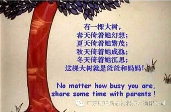 樹就是我們的父母！請(qǐng)愛護(hù)你們身邊的這棵樹！
