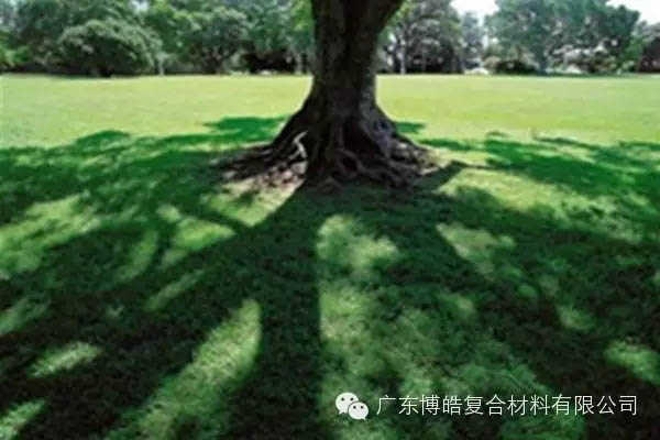 【博皓感悟】欲為大樹，莫與草爭-6