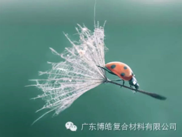 【博皓感悟】成功，要“借力”，不要“盡力”